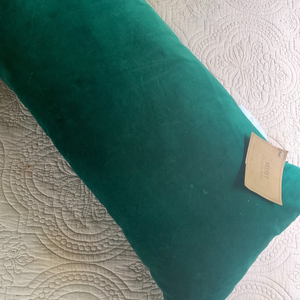 Velvet Pillow